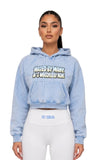 HATED BY MANY "ICEY GLOSS" SNOW WASHED CROP HOODIE
