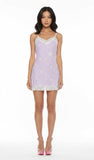 MISTY DOLL LACE CAMI DRESS
