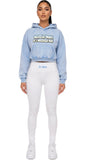 HATED BY MANY "ICEY GLOSS" SNOW WASHED CROP HOODIE